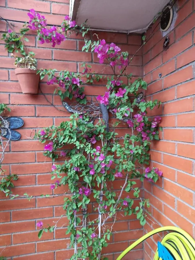 Atico Isaac Albeniz Apartamento La Pineda